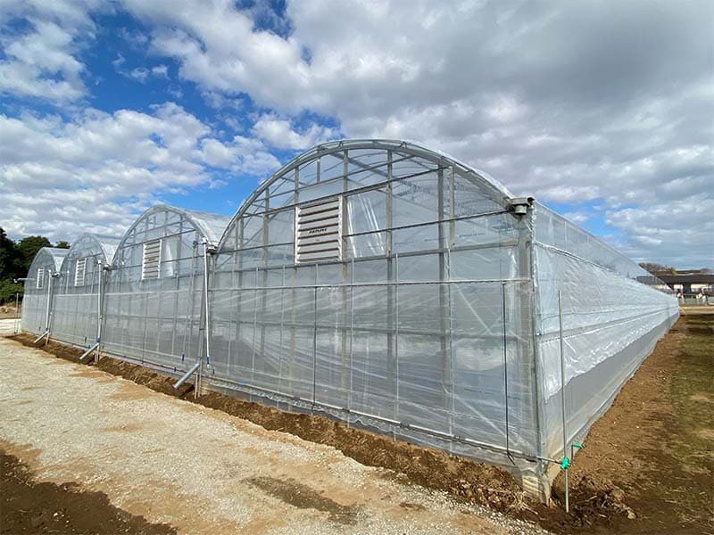 えびす苺園のハウス外観