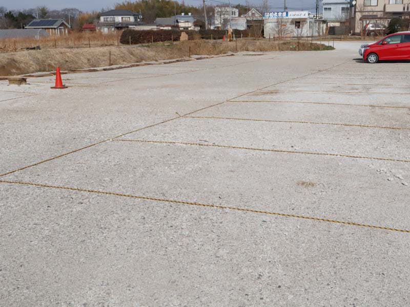 苺の品種パネル