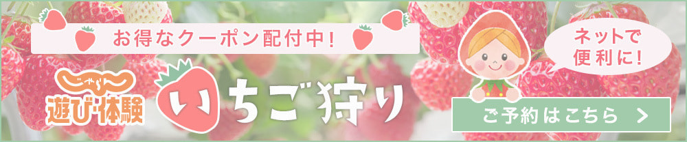 じゃらんnet予約えびす苺園