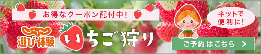 じゃらんnet予約えびす苺園