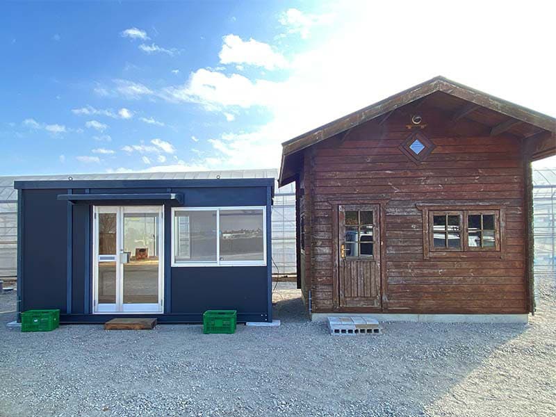 花が咲き始めました