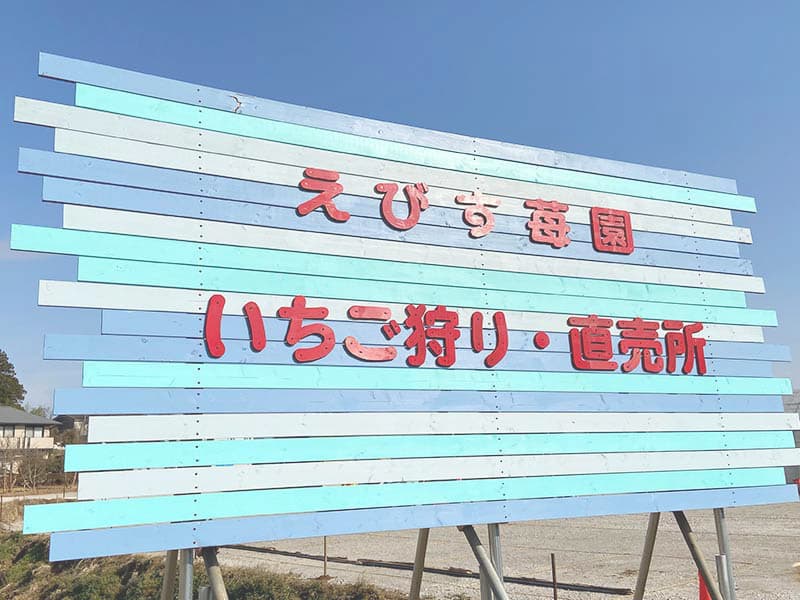 花が咲き始めました